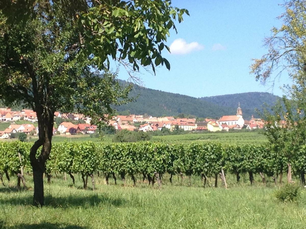 Le Voyage D'Ubuntu Villa Heiligenstein Kültér fotó