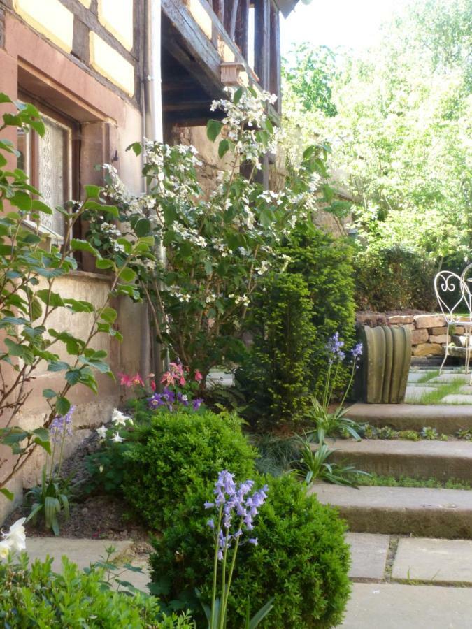 Le Voyage D'Ubuntu Villa Heiligenstein Kültér fotó